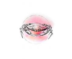 Komar Crab Watercolor - Immagine da Parete in 3 Misure, per Soggiorno, Camera da Letto, Decorazione, Schwarz, Weiß, Rosa, P080B-50x70