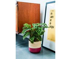 Ivyline Vaso per Piante, bambÃ¹, Rosa, 19 cm