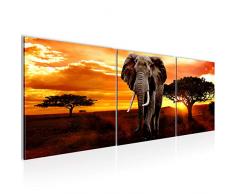 Quadro Elefante africano 120 x 40 cm - XXL Immagini Murale Stampa su Tela Decorazione da Parete Pronte per lapplicazione - 001233a