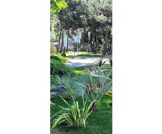 ID PeelitStickit-2502 60 x 130 cm, Altezza: Bel Nature, Adesivo da Parete in Vinile di Alta qualitÃ 