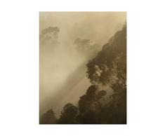 Komar - Quadro da Parete con Immagine Golden Light, per Soggiorno, Camera da Letto, Decorazione, Stampa Artistica Senza Cornice, Disponibile in 3 Misure, Grün, WeiÃ, Schwarz, PSH100-40x50