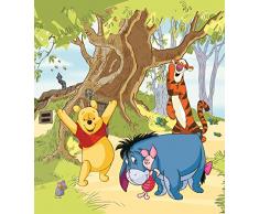 AG Design Carta da Parati Fotografica, Multicolore