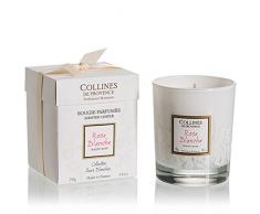 Collines de Provence Candela profumata 250Â g Rosa Bianca