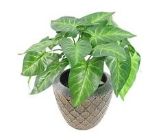 Leaf Design UK 45Â cm Artificiale Taro pianta Vaso in plastica Nera, Chiaro