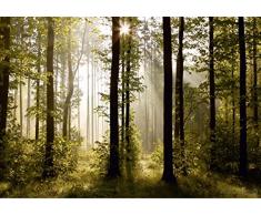 AG Design - Photo Wall Mural - Carta - Foresta mattutina - Foto Sfondo - Poster Gigante con Parete - 360 x 254 cm - 4 Parti - FTS 0181