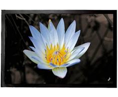 1art1 Fiori - Magia Floreale, Ninfea Bianca Zerbino (60 x 40cm)