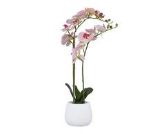 Aufora Piante Artificiali Decorative, Rosa, Taglia Unica