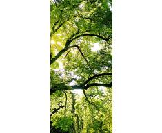 PeelitStickit ID 0676 60 x 130 cm, Altezza: Bel Nature, Adesivo da Parete in Vinile di Alta qualitÃ