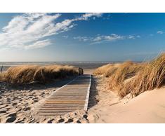 Scenolia Tappezzeria Decorativo Poster Strada delle Dune 3Â x 2,70Â m | Decorativo e Foto Parete XXL qualitÃ HD