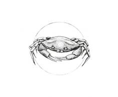 Komar - Quadro da Parete Crab White Soggiorno, Camera da Letto, Decorazione, Stampa Artistica Senza Cornice, Disponibile in 3 Misure, Nero, Bianco, P080A-40x50