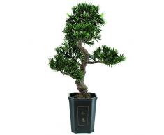 Euro Palms 82600116, Pianta Bonsai di Podocarpus, 80 cm, Verde (Grün)