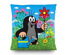 AG Design CND 3120 Cuscino Decorativo con Copertina, Poliestere, Multicolore, 40 x 40