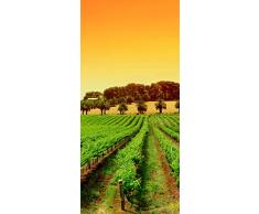 PeelitStickit ID 0831 60 x 130 cm, Altezza: Bel Nature, Adesivo da Parete in Vinile di Alta qualitÃ