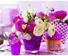 Nuove ImagesAffiche 24 x 30 cm, Colore: Rosa/Pink Tavolo Tisch/Rosa