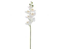 Aufora Orchidea Artificiale Fiore, Bianco, 100Â cm
