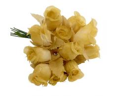 Mopec F97.13 - Bouquet di rose beige, confezione da 12, tessuto, multicolore, taglia unica