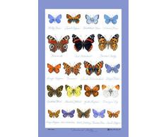 Samuel Lamont - Strofinaccio, Taglia Unica, Multicolore