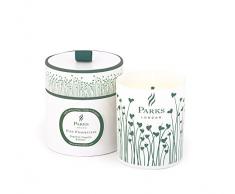 Parks London Candela Fragranze Naturale, Pompelmo e Mandarino Tangerino, Cera, Multicolore, 9 x 9 x 10 cm