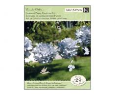 Flora e Fauna Collection K And Company Ghirlanda di Carta Artigianato