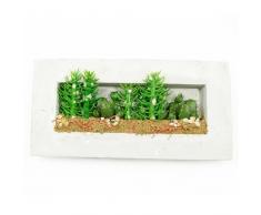 JoyLands Artificiale Cactus e Piante grasse./Real Touch Look Greenery in Una Cornice, 18Â x 8.Decorazione da Parete, fiorai fornitori