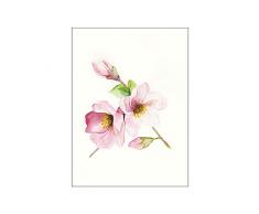 Komar - Quadro da Parete con Immagine di Magnolia Breathe, per Soggiorno, Camera da Letto, Decorazione, Stampa Artistica, Disponibile in 3 Misure, Rosa, Grün, Weiß, P073A-40x50