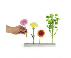 XXD Fiore Allee Steck Vaso â Una Vaso Die beeindruckt â von Design