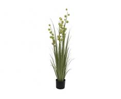 Europalms pianta Artificiale Allium 122cm, Standard
