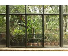 Scenolia Tappezzeria Poster panoramico Tropicale Greenhouse 4Â x 2,70Â m | Decorativo e Foto Parete XXL qualitÃ HD