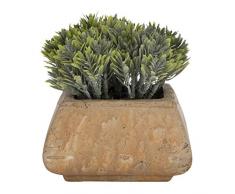 Aufora pianta Artificiale in Vaso Quadrato Rustico, Verde, 12 cm