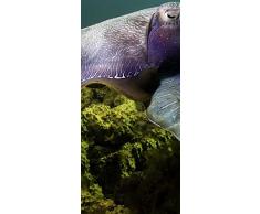 PeelitStickit ID 083-60 x 130 cm, Altezza Underwater, Adesivo da Parete in Vinile di Alta qualitÃ 