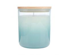 WAX LYRICAL Homescenter - Candela profumata e Supporto in Vetro degradato, ibiscus & Rosehip