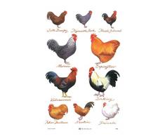 Samuel Lamont - Strofinaccio, Taglia Unica, Colore: Bianco