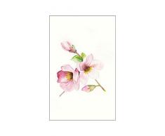 Komar - Quadro da Parete con Immagine di Magnolia Breathe, per Soggiorno, Camera da Letto, Decorazione, Stampa Artistica, Disponibile in 3 Misure, Rosa, Grün, Weiß, P073A-50x70