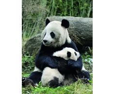 poster 30Â x 40Â cm Panda gigante e il suo piccolo/Giant Panda Mother and Baby/groÃer Panda mit jungem Eric Baccega