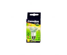 Camelion 39920028 - Lampadina mini spot a LED SDM, 3 W, colore della luce: Bianco giorno