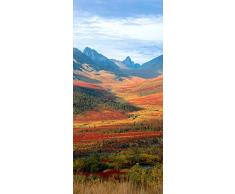 PeelitStickit ID 0196 60 x 130 cm, Altezza: Bel Nature, Adesivo da Parete in Vinile di Alta qualitÃ