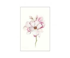 Komar - Quadro da Parete Magnolia Blossom, per Soggiorno, Camera da Letto, Decorazione, Stampa Artistica, Disponibile in 3 Misure, Rosa, Grün, Weiß, P073C-30x40