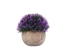 Lo+DeModa Purple Pianta Decorativa con Vaso, Multicolore, 14x14x0.25 cm