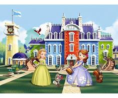 AG Design - Photo Wall Mural - Non Tessuto Bambini Disney - Disney Princesse - Foto Sfondo - Poster Gigante con Parete -360 x 270 cm - 4 Parti - FTDNXXL 5038