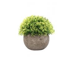 Lo+DeModa Green Pianta Decorativa con Vaso, Multicolore, 14x14x0.26 cm