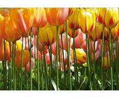 AG Design - Photo Wall Mural - Carta - Tulipano Grande - Foto Sfondo - Poster Gigante con Parete -360 x 254 cm - 4 Parti - FTS 0045