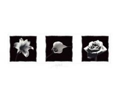 Empire 417343 Poster trittico di fiori 91,5x30,5 cm