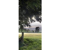 PeelitStickit ID 0008 60 x 130 cm, Altezza: Bel Nature, Adesivo da Parete in Vinile di Alta qualitÃ