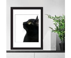 Walplus POSTER - GATTO NERO FOCUS Decorazione Adesivi da parete, Multicolore