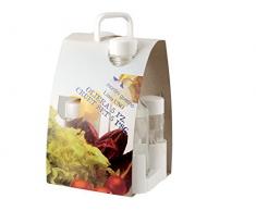 Gierre 6504901 Oliera, plastica, Multicolore