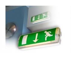 Eterna YESSS - Lampada di emergenza non mantenuta, 8 W, multicolore