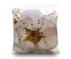 AG Design CN 3606 Cuscino Decorativo con Copertina, Tessuto, Multicolore, 45 x 45