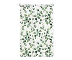 GARDINIA Tenda a rullo Digiprint, Isabella, Fissaggio a incastro, Stampa digitale, Opaca, Incl. materiale di montaggio, Bianco/Fantasia, 100 x 150 cm (LxH)