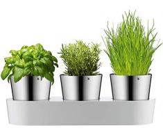 WMF 0641306040 - Set da giardino per erbe aromatiche WMF, 3 pezzi, Vaso per erbe con sistema di irrigazione, Acciaio inossidabile Cromargan, Plastica, Per erbe fresche, 36 x 12,5 x 12,5 cm, Bianco