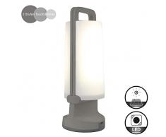 Lutec Dragonfly Lanterna a LED con Pannello Solare Integrato 1.3 W, Grigio